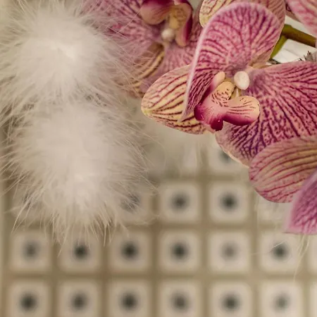 Cavour Five Senses Florenz